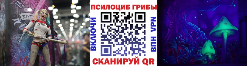 Купить Нестеровская Псилоцибиновые грибы Cubensis